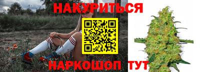 тгк Новодвинск