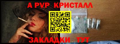 тгк Новодвинск