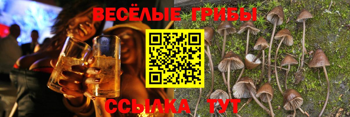 Псилоцибиновые грибы Magic Shrooms  наркошоп  Пыть-Ях  Вход с VPN  Псилоцибиновые грибы мухоморы 