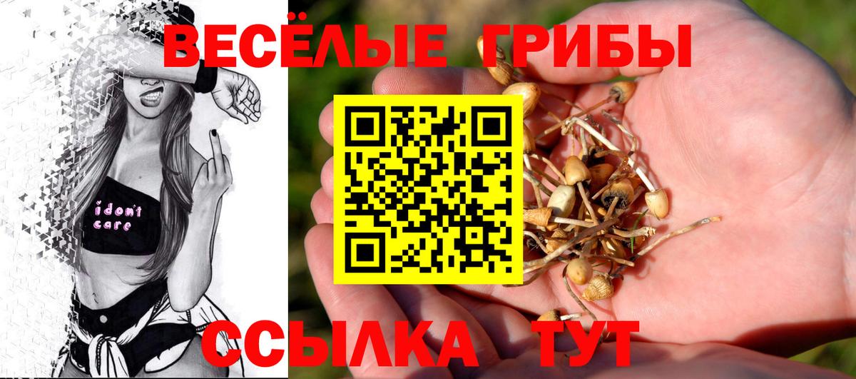 Псилоцибиновые грибы прущие грибы Пыть-Ях